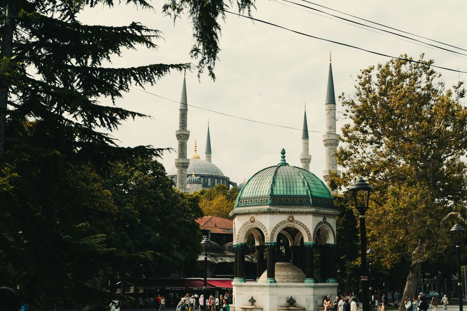 maxim-klimashin-pYNEQSBgwJQ-unsplash.jpg