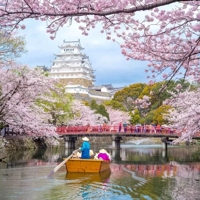 japonya-sakura-turu-1-wts.jpg