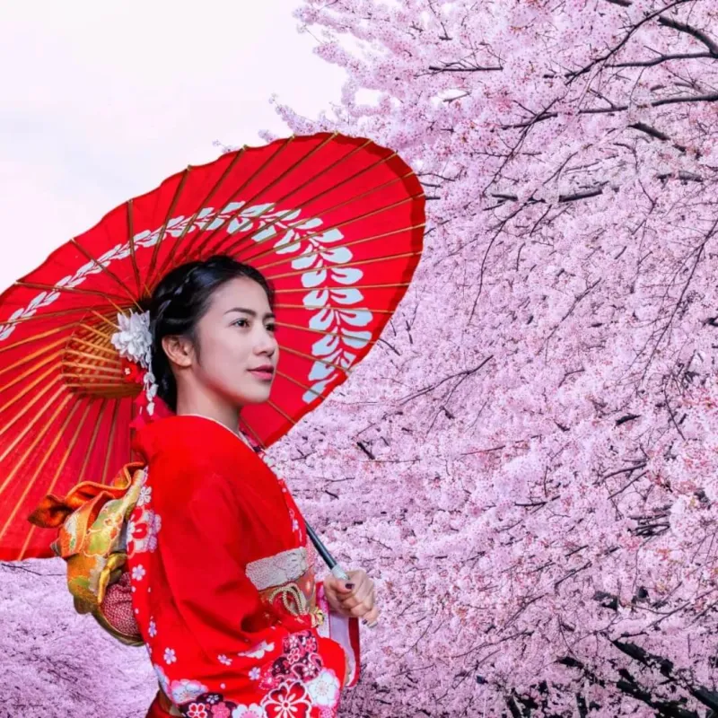 japonya-sakura-turu-4.jpg