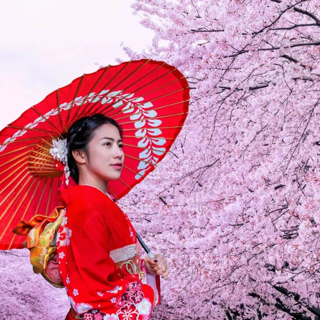 japonya-sakura-turu-4.jpg